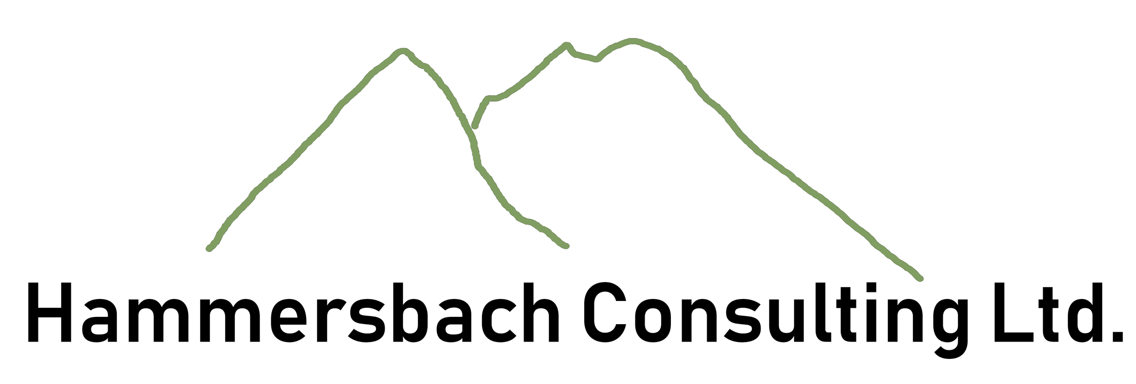 Hammersbach Consulting